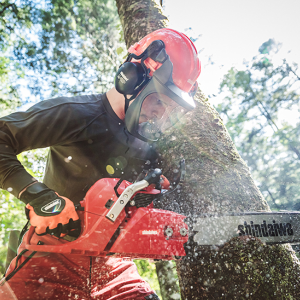 Shindaiwa | Chainsaw | 601sx | 20"