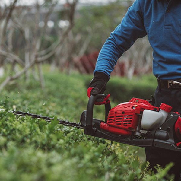 Shindaiwa | Hedge Trimmer | DH221