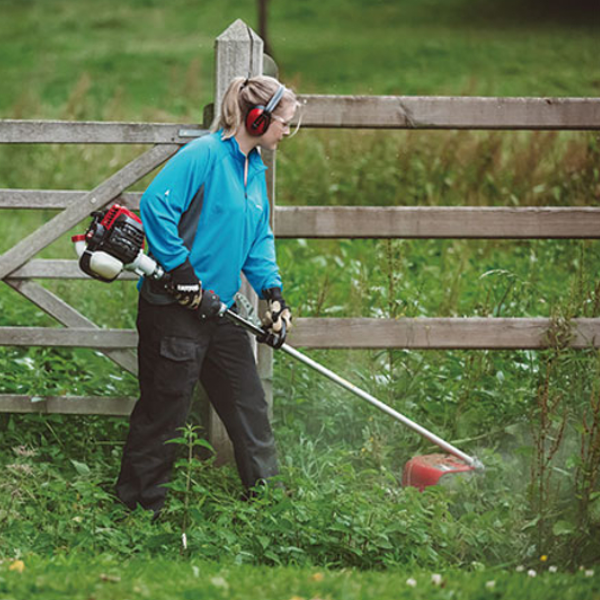 Shindaiwa | Brushcutter | T303TS