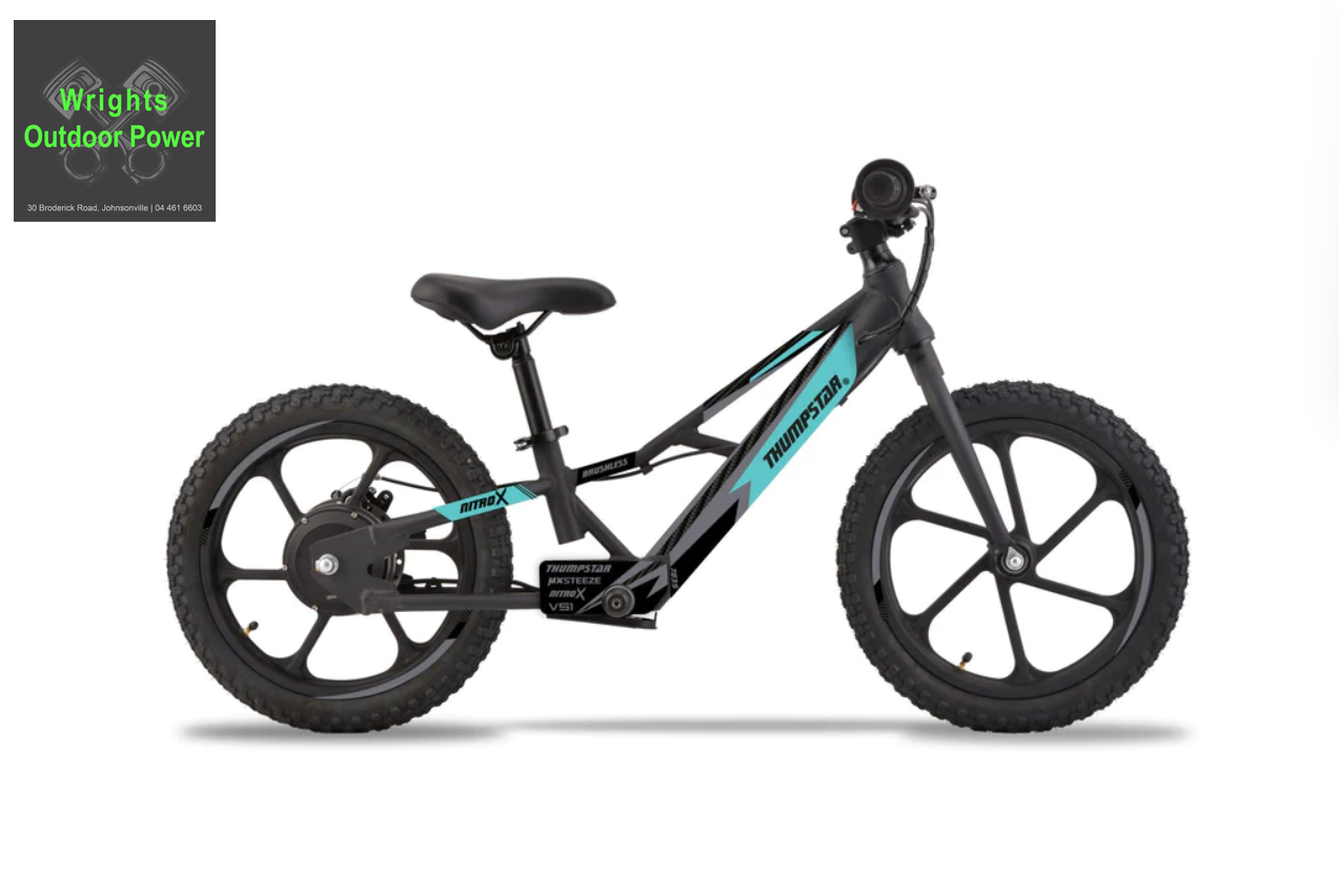Thumpstar | TSE-16 | Electric Balance Bike