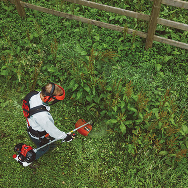 Shindaiwa | Brushcutter | C303TS