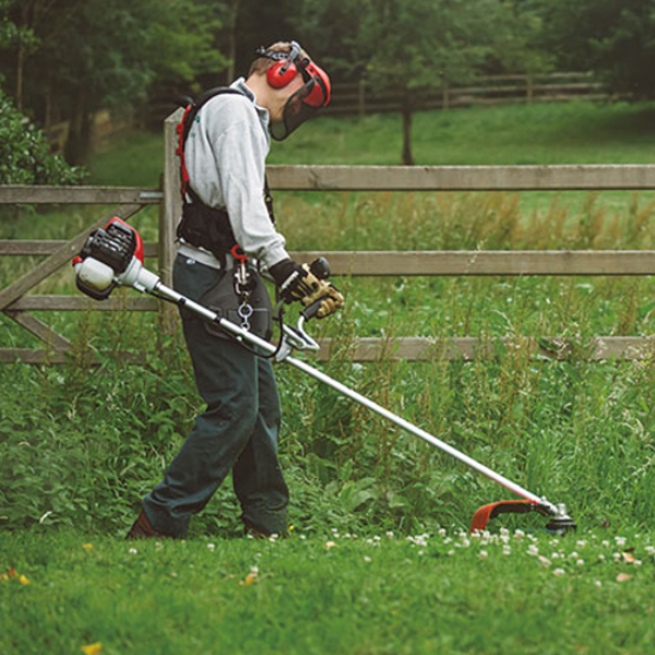 Shindaiwa | Brushcutter | C303TS