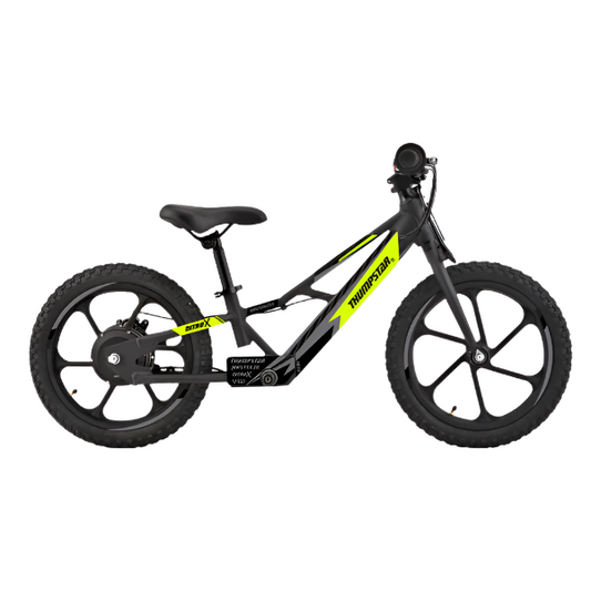 TSE-16 | Electric Balance Bike